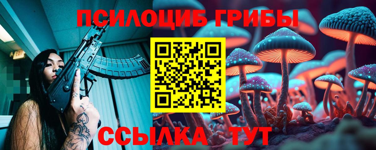 Михайловка  дарнет шоп  Вход с VPN  Галлюциногенные грибы Psilocybine cubensis  Галлюциногенные грибы ЛСД 