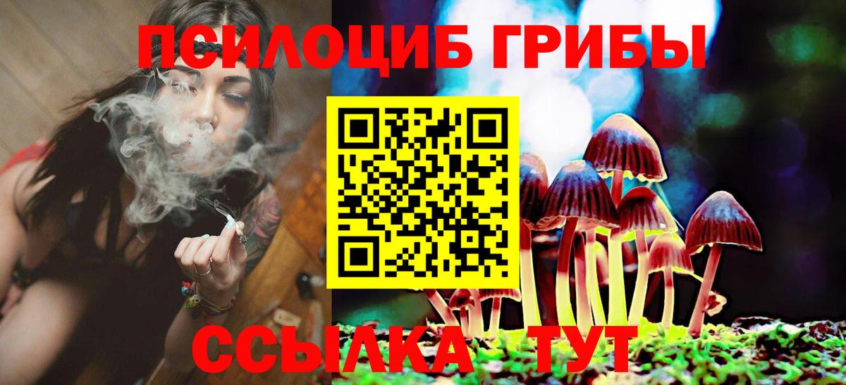 Галлюциногенные грибы Magic Shrooms Михайловка
